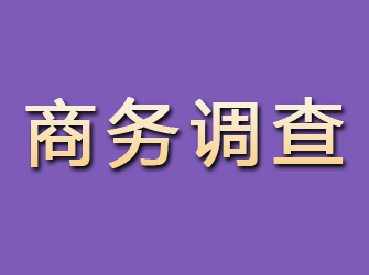 江源商务调查